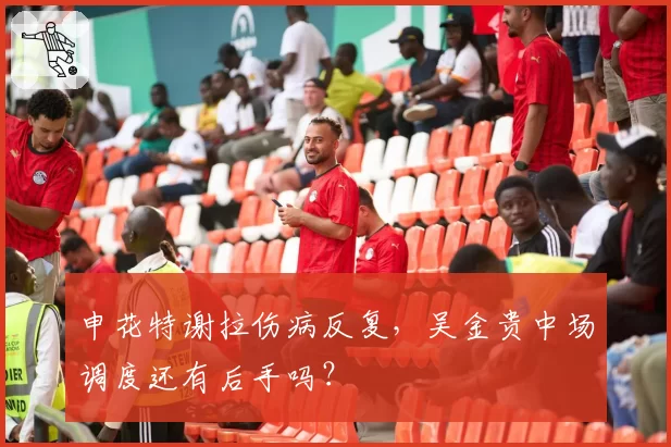 申花特谢拉伤病反复，吴金贵中场调度还有后手吗？